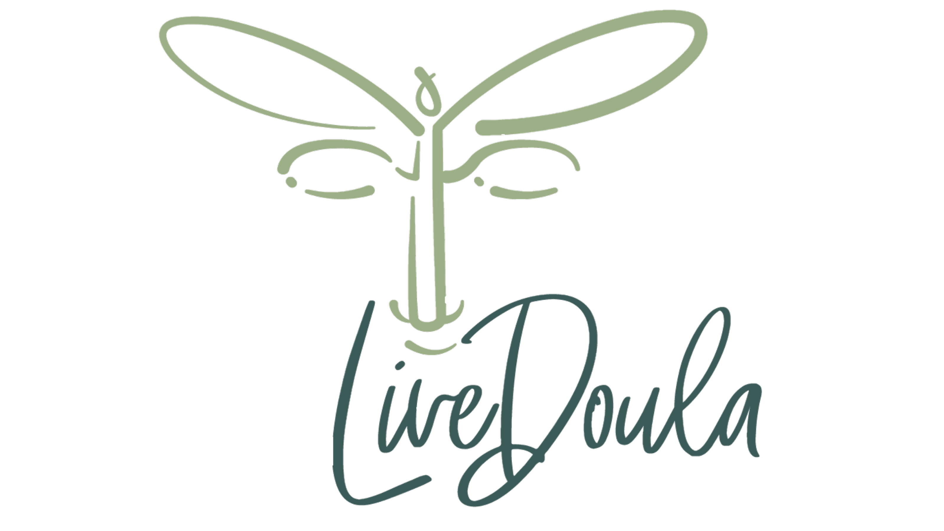 Live Doula logo with a dragonfly